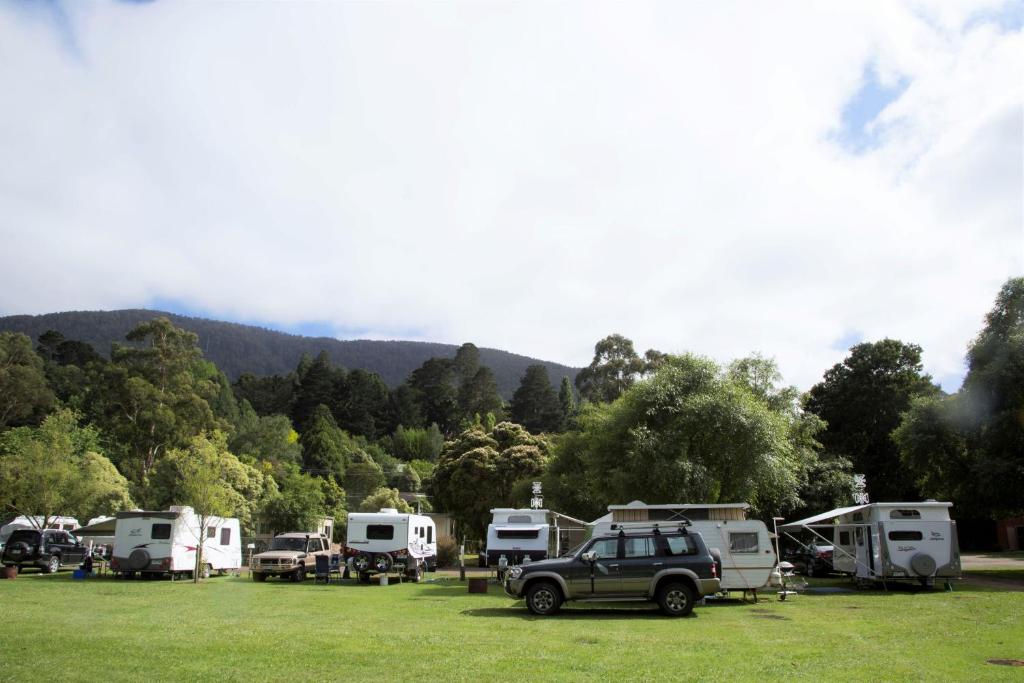 a car parked in a field with a bunch of rvs at Warburton Holiday Park in Warburton