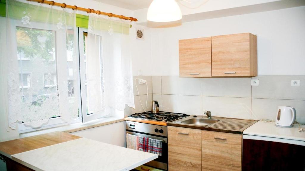 a small kitchen with a sink and a stove at Apartament Studio - Mehoffera 1 in Zabrze