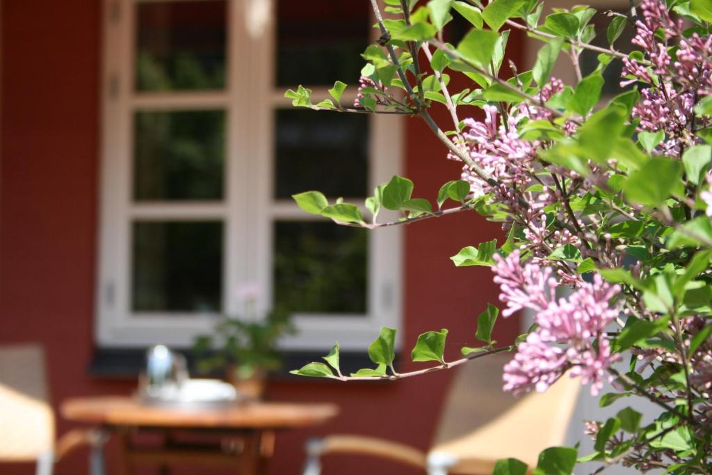 Zahrada ubytování Hotel Ærøhus
