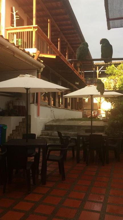 Restaurace v ubytování Aroma Cafetera