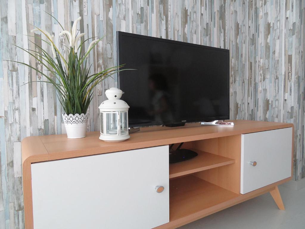 TV a/nebo společenská místnost v ubytování Alcañiz Flats I