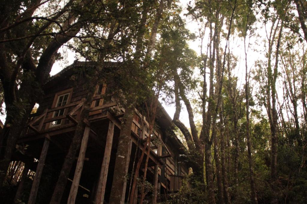 una casa vieja en medio de los árboles en La Casita del Bosque, en Castro