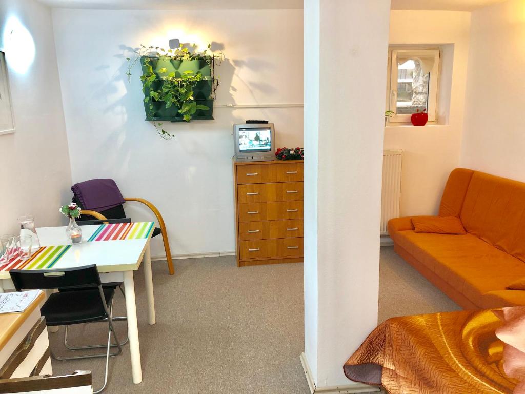 Apartments GreenSLO - Economy Studio Apartment - Basement Level
