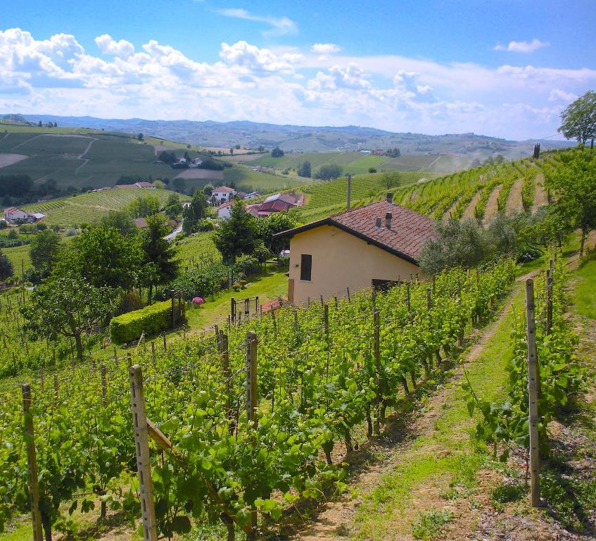 Cascina tra i vigneti a Nizza Monferrato - Casa De Dos Dormitorios