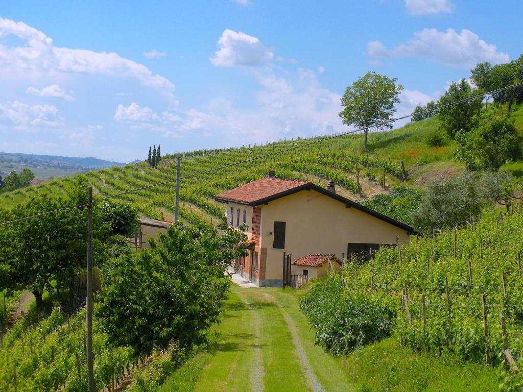 a house in the middle of a vineyard at Cascina tra i vigneti a Nizza Monferrato in Nizza Monferrato