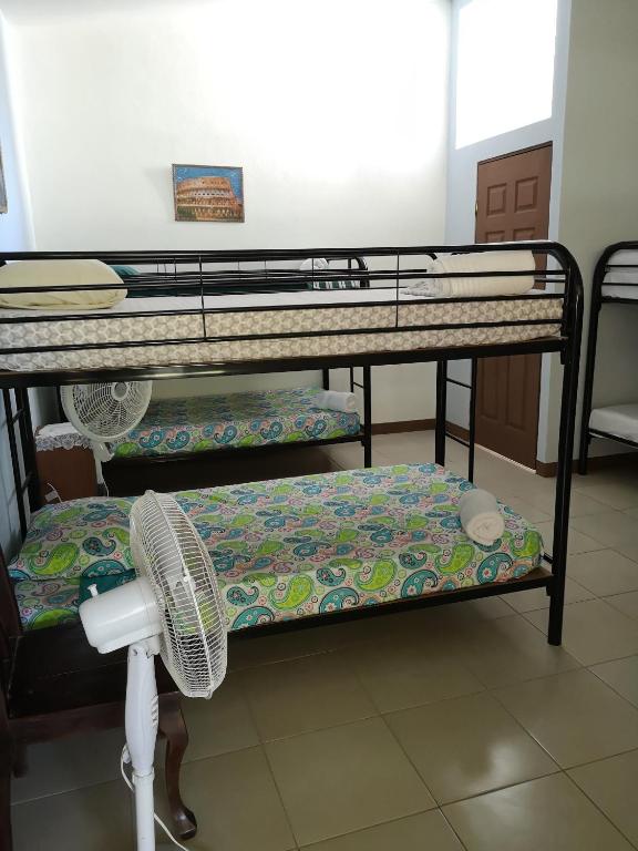 Blue Morpho House B&B - 8-Bed Mixed Dormitory Room