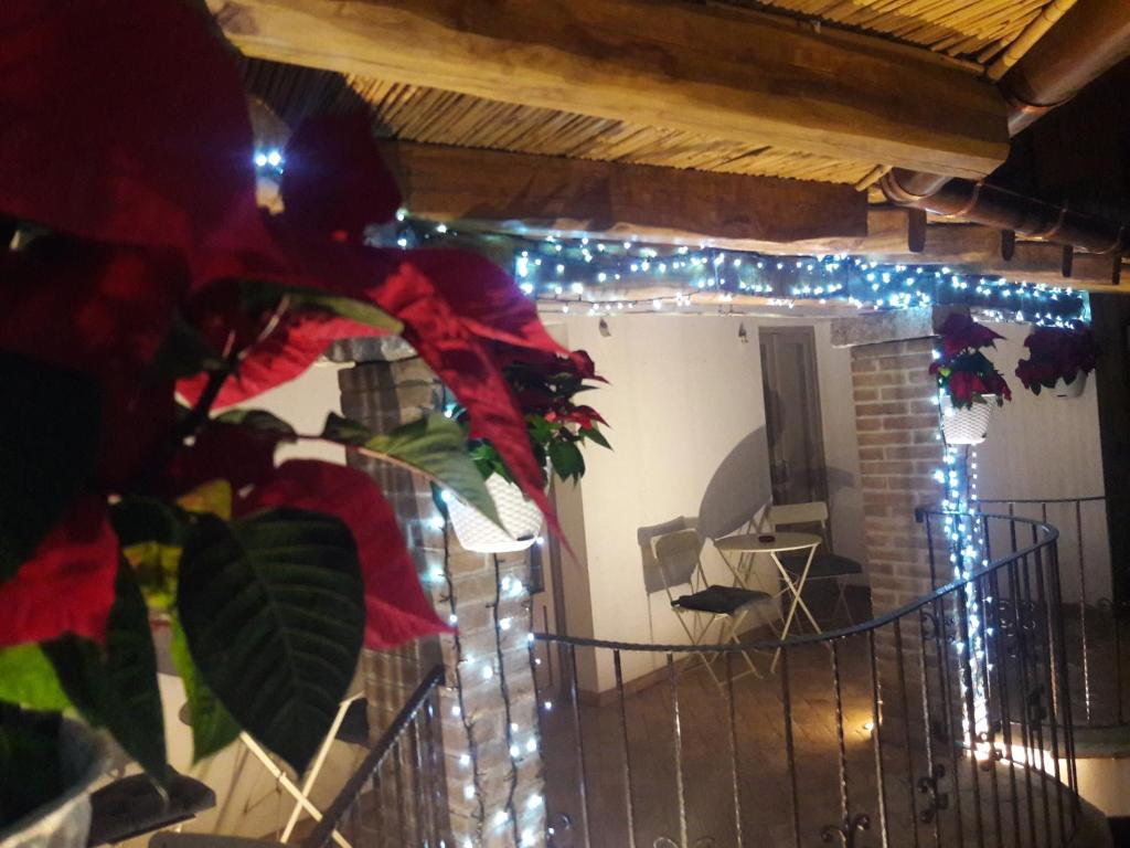 Fotografie z fotogalerie ubytování B&B Stentadì v destinaci Quartucciu