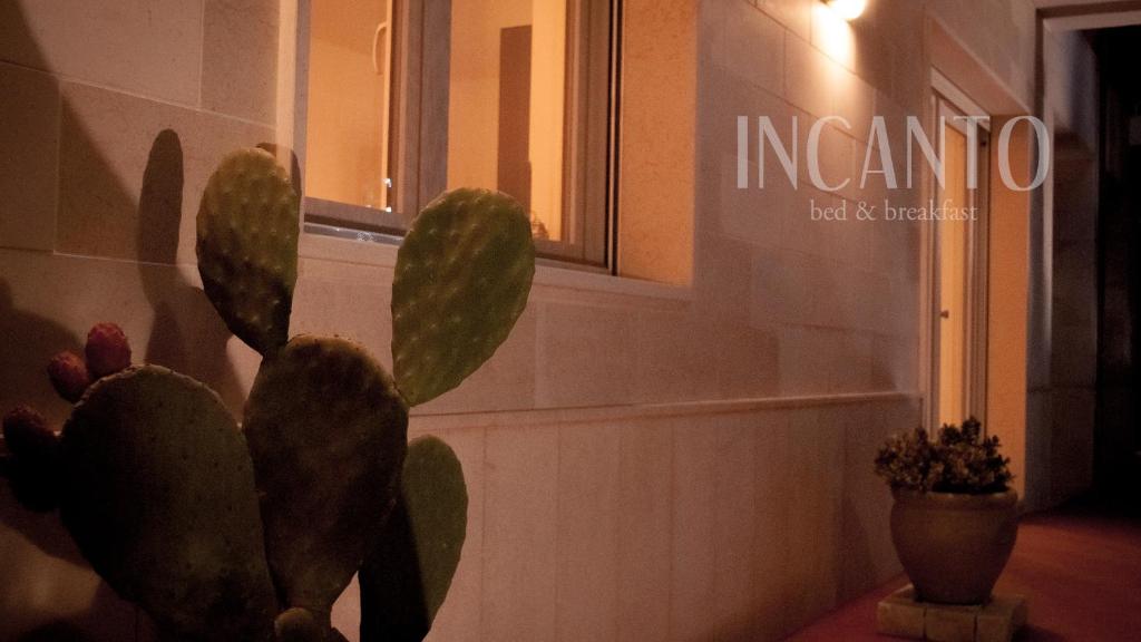 Fotografie z fotogalerie ubytování Incanto b&b v destinaci Lesina