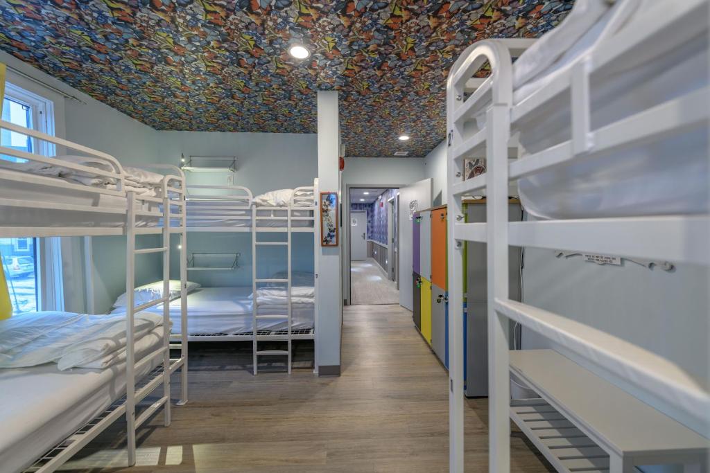 Black Elephant Hostel - Litera En Habitación Compartida Femenina