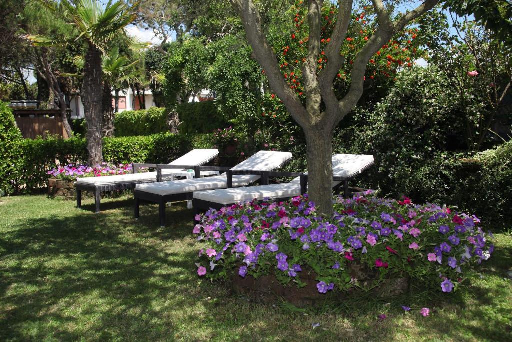 Vonkajšia záhrada v ubytovaní Hotel Viña del Mar Pineta