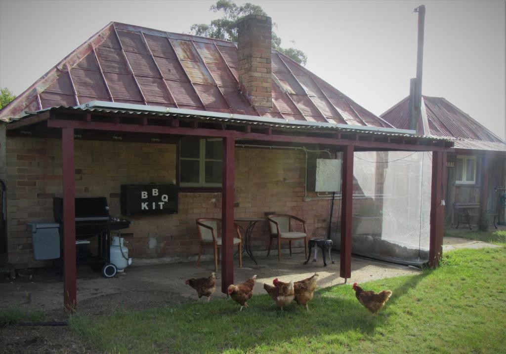 un grupo de pollos parados frente a una casa en Fernbrook Cottage, en Marrangaroo