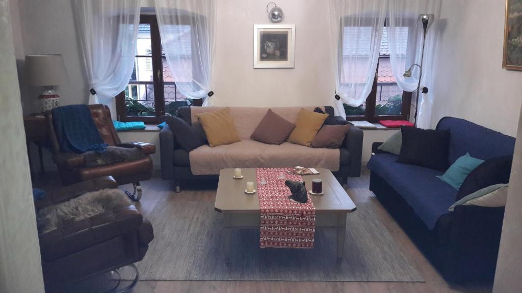 Au fil de l'écriture - Appartement sur la Route des Vins à riquewihr – photo 12