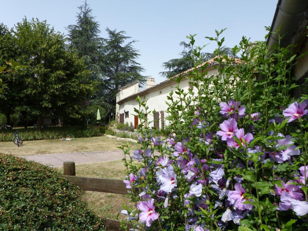 Κήπος έξω από το Villa Luxe avec Spa, Piscine Chauffée & Salle de Sport à Beauville