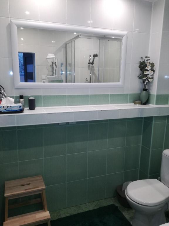 Kúpeľňa v ubytovaní Apartament przy Mickiewicza