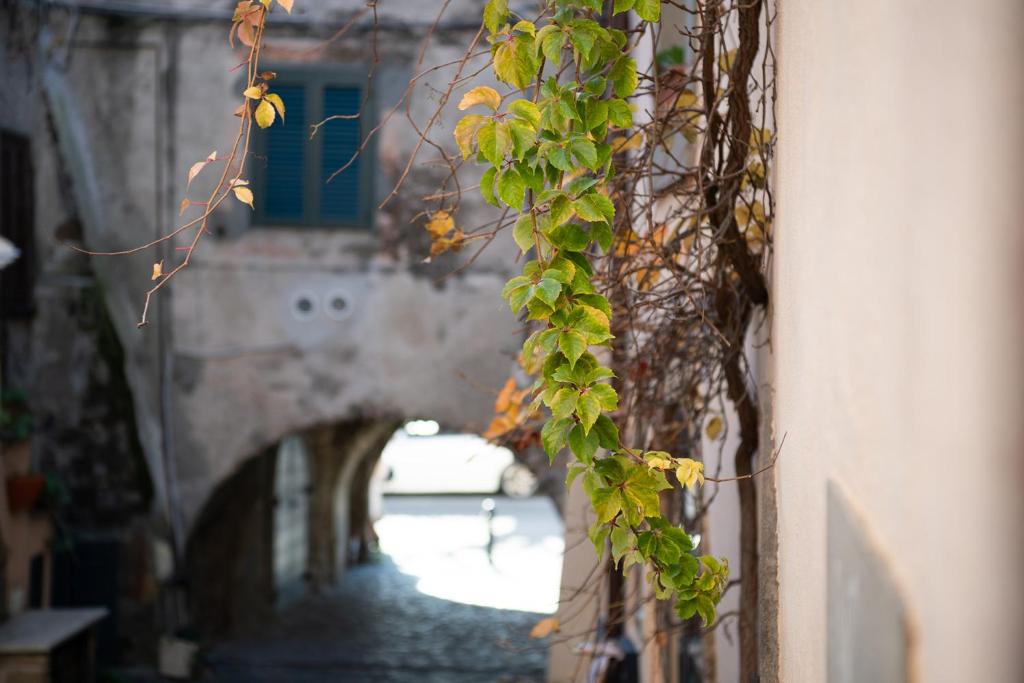 Fotografie z fotogalerie ubytování Hotel Borgo Vistalago v destinaci Trevignano Romano