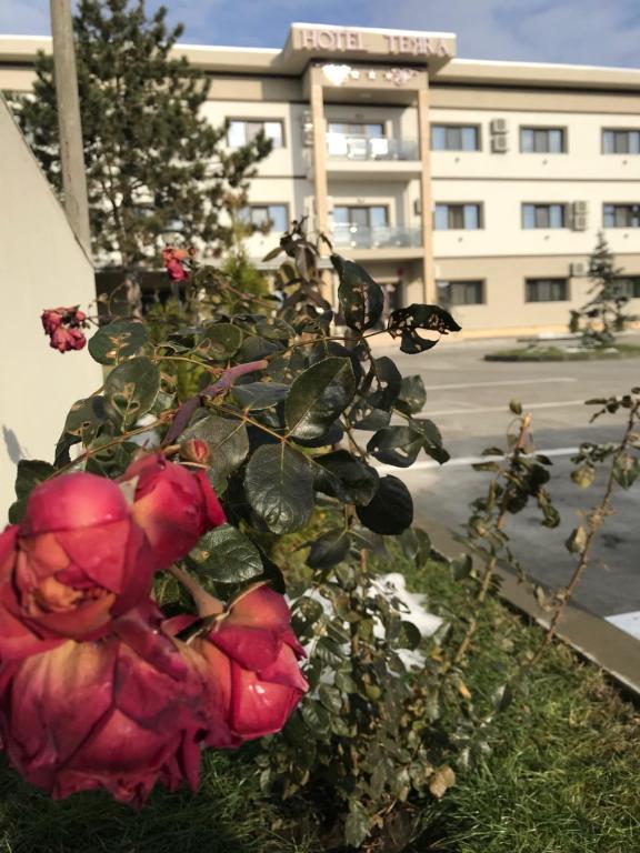 Hotel Terra Iasi - Resim 25