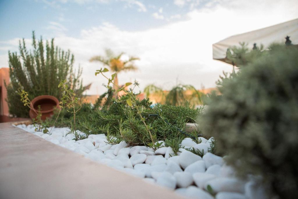 Zahrada ubytování Riad Villa Harmonie