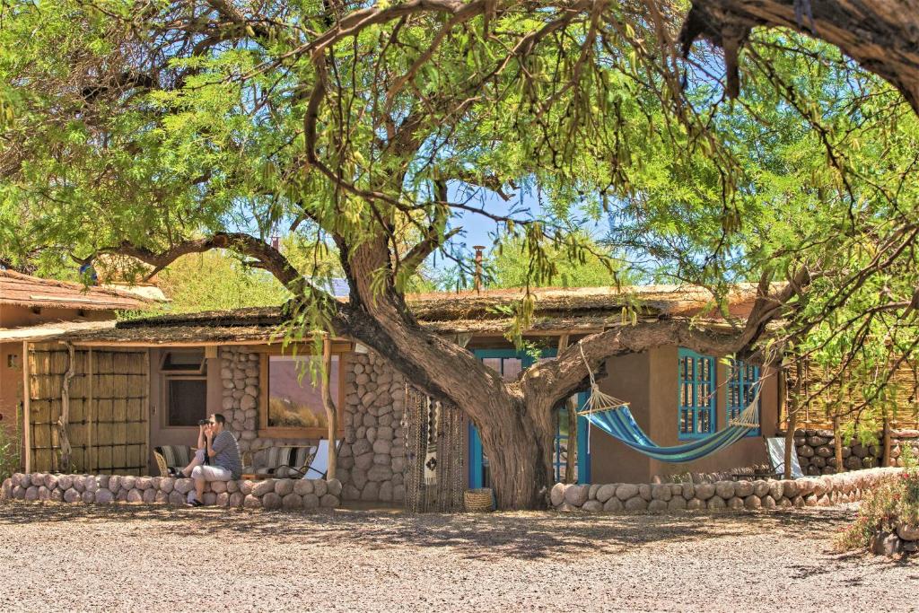 Zahrada ubytování Casita La Brea