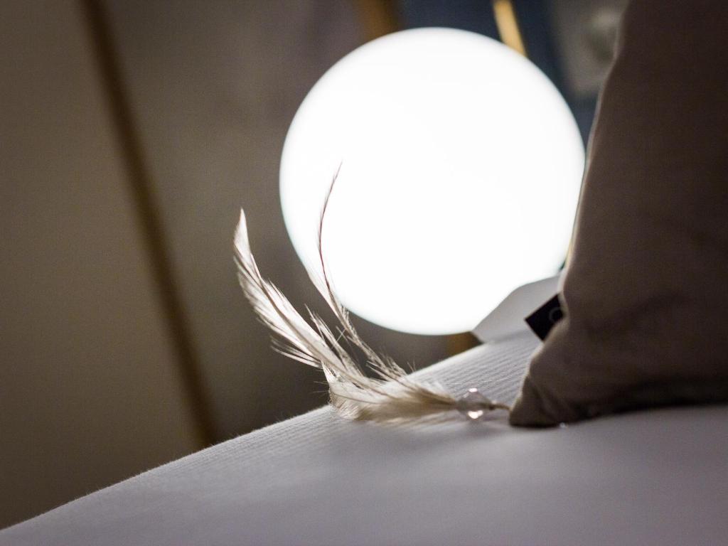 Renascentia in Florence - Adults Only - 5