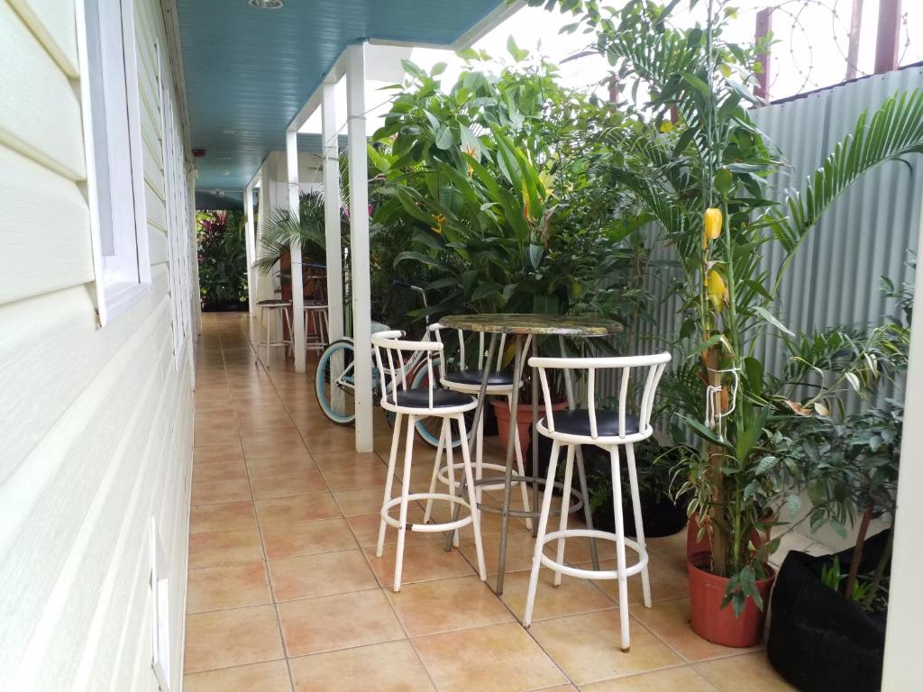 Fotografie z fotogalerie ubytování AQUA POINT CONDOS RENTALs v destinaci Bocas del Toro