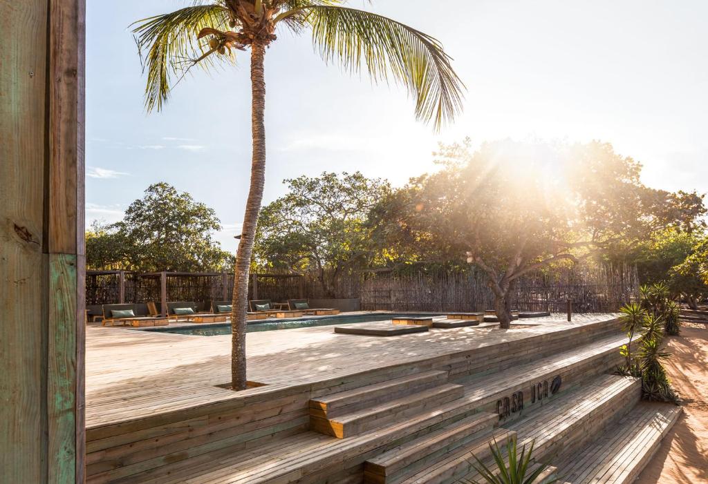 Guriú的住宿－Casa Uca，游泳池旁的棕榈树