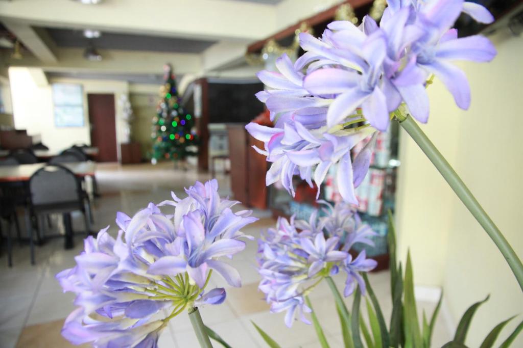 Pandu Lakeside Hotel Parapat