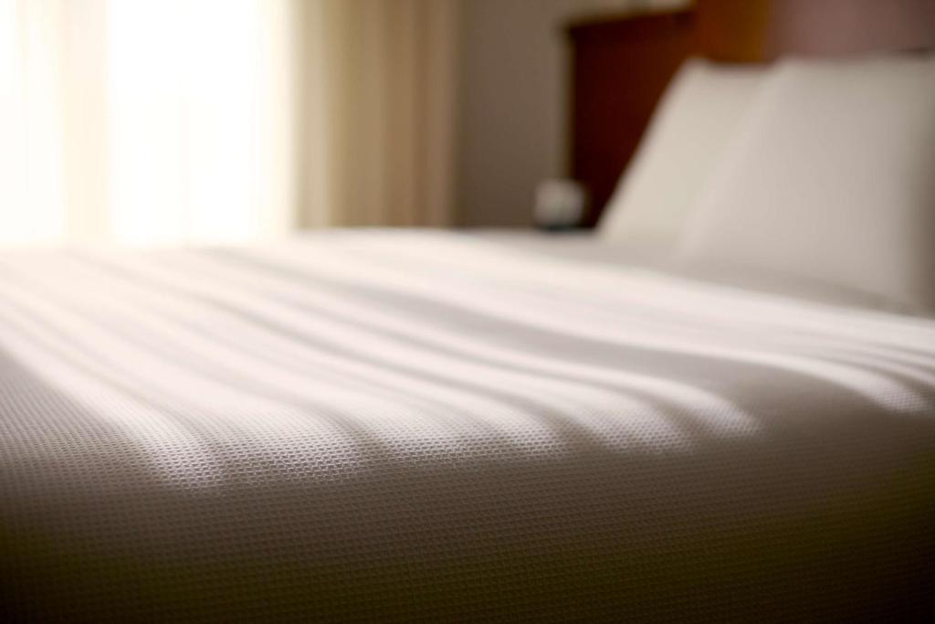 Hyatt Place Detroit/Royal Oak - Corner King Suite Avec Canapé-lit