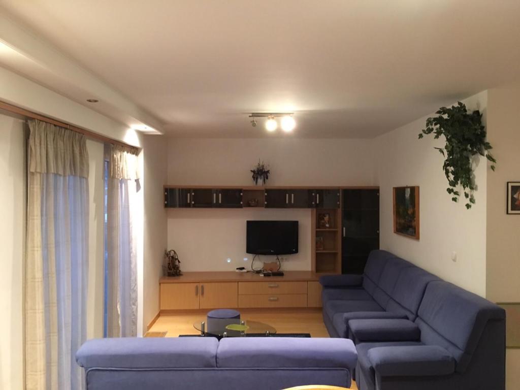 Televízia a/alebo spoločenská miestnosť v ubytovaní Mary Apartmanház Hévíz