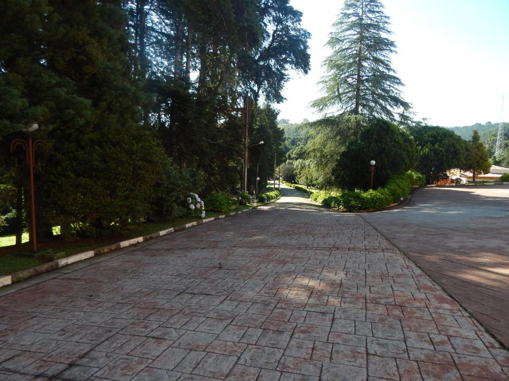  Hotel Platanus