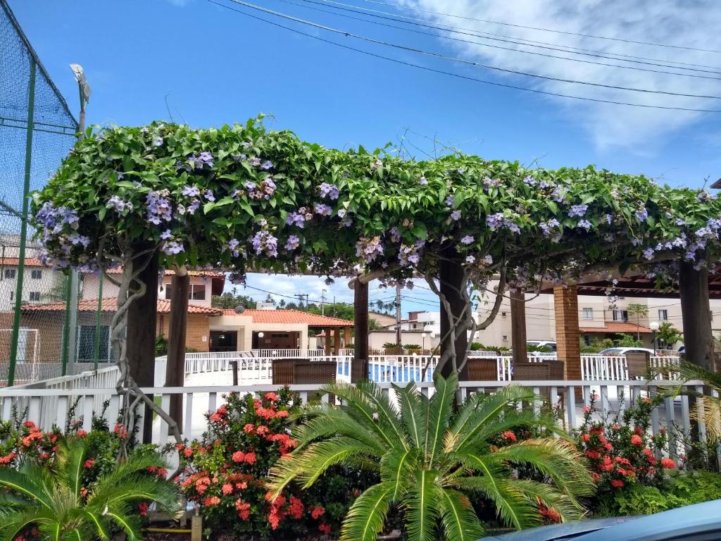  Apartamento temporada VOG João de Góes