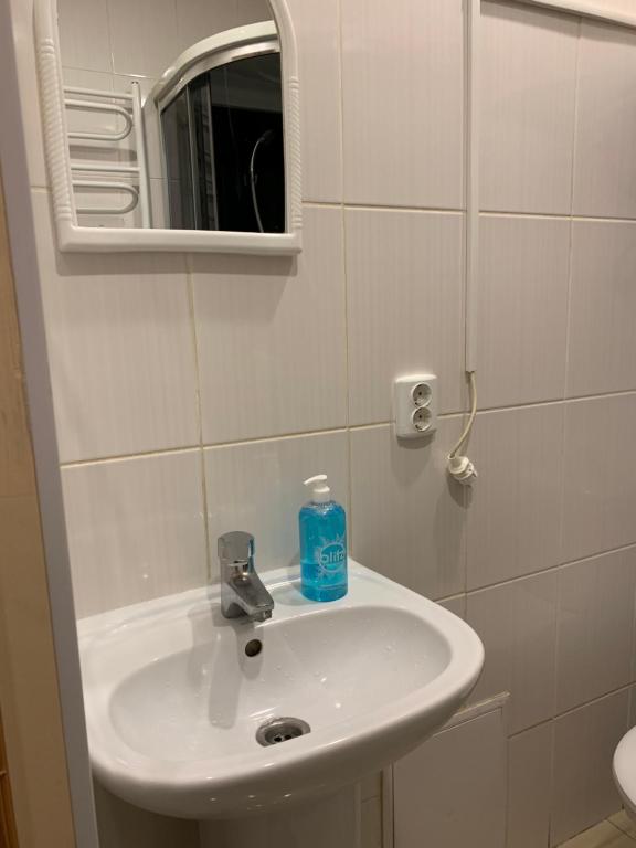 リヴィウにあるApartment Kotliarska st.-Moisha Houseのバスルーム(白い洗面台、鏡付)