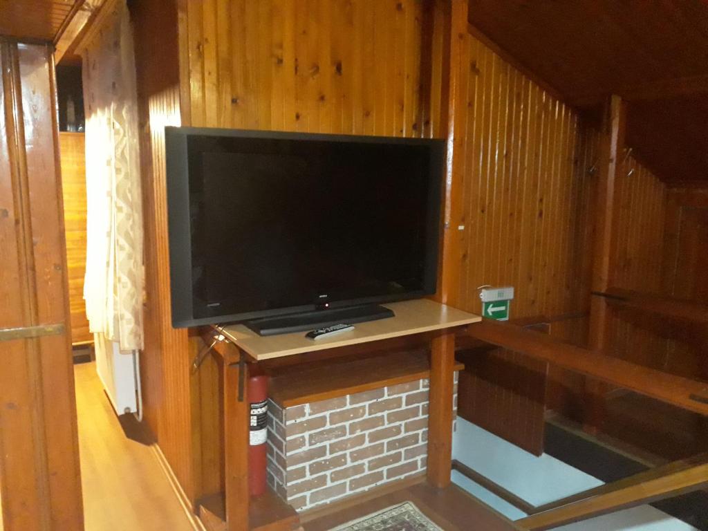 TV a/nebo společenská místnost v ubytování Pensiunea Red Rock
