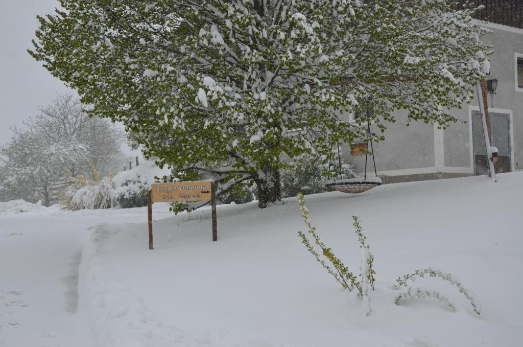 Ferienwohnung Vonwald during the winter