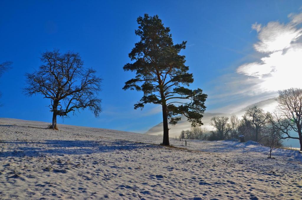 Ferienwohnung Vonwald during the winter