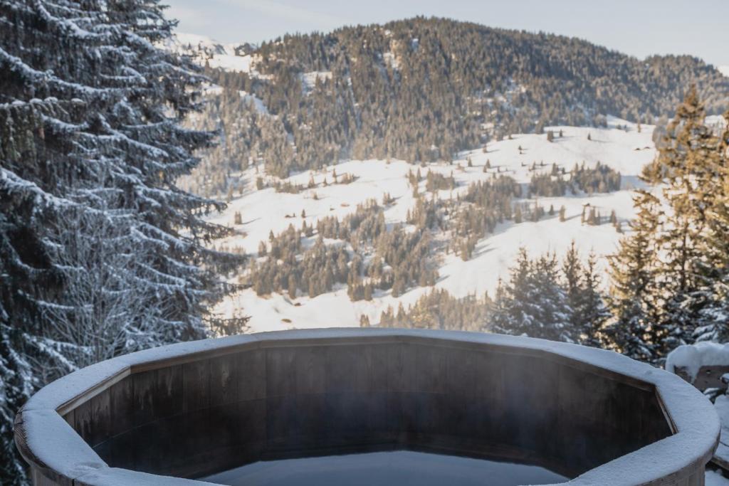 Rinderberg Lodge v zimě