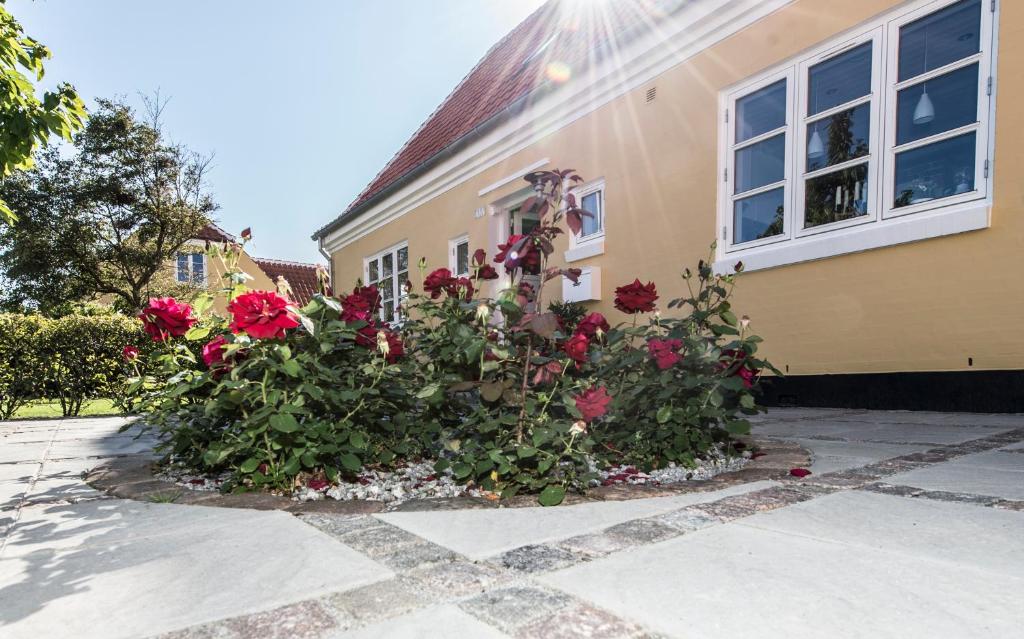 Zahrada ubytování Toftegården Guesthouse - Apartments & Rooms