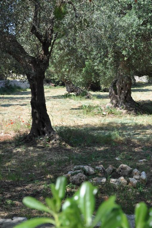 Zahrada ubytování Masseria Costanza