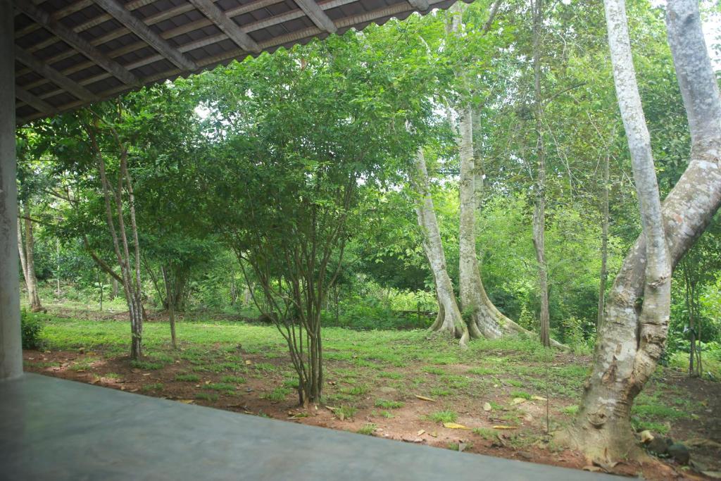 a view of a park with trees and grass at Villa Greenary in Unawatuna