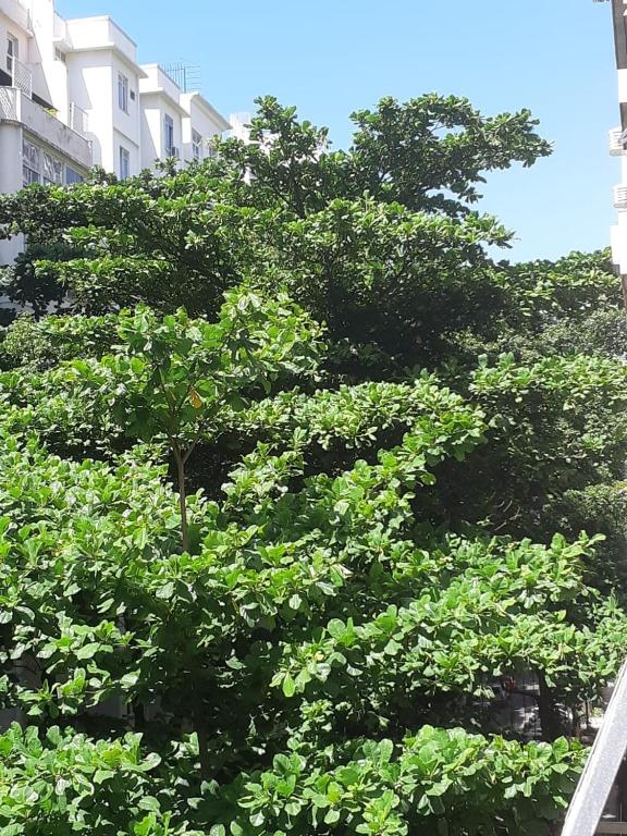  Apartameto Sa Ferreira 138