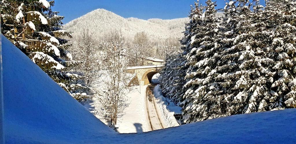 Haus Elena am Semmering v zimě