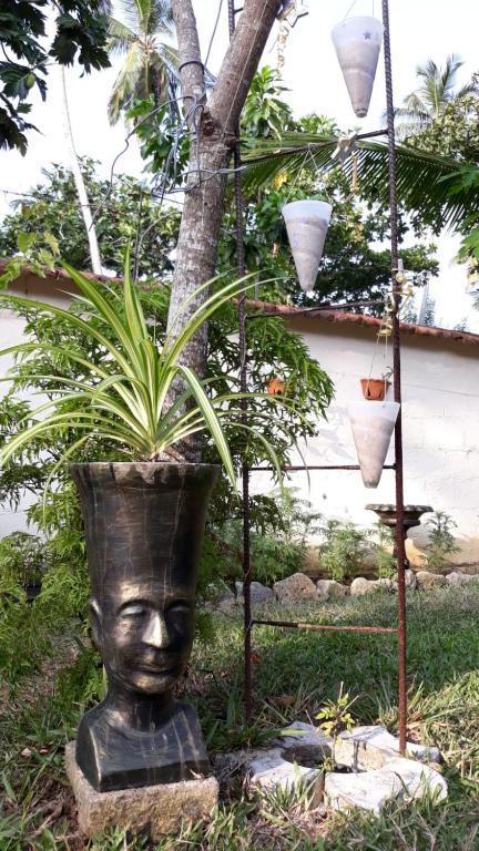 Zahrada ubytování Wine Tree Garden Guesthouse