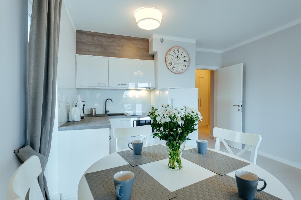 Kuchyňa alebo kuchynka v ubytovaní Apartamenty NAVIGATOR-PORT VIEW
