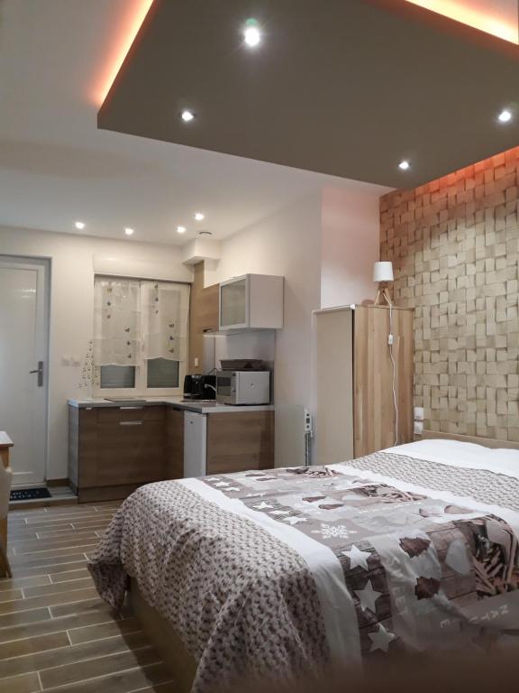 1 dormitorio con 1 cama grande y cocina en Studio mistral, en Valence