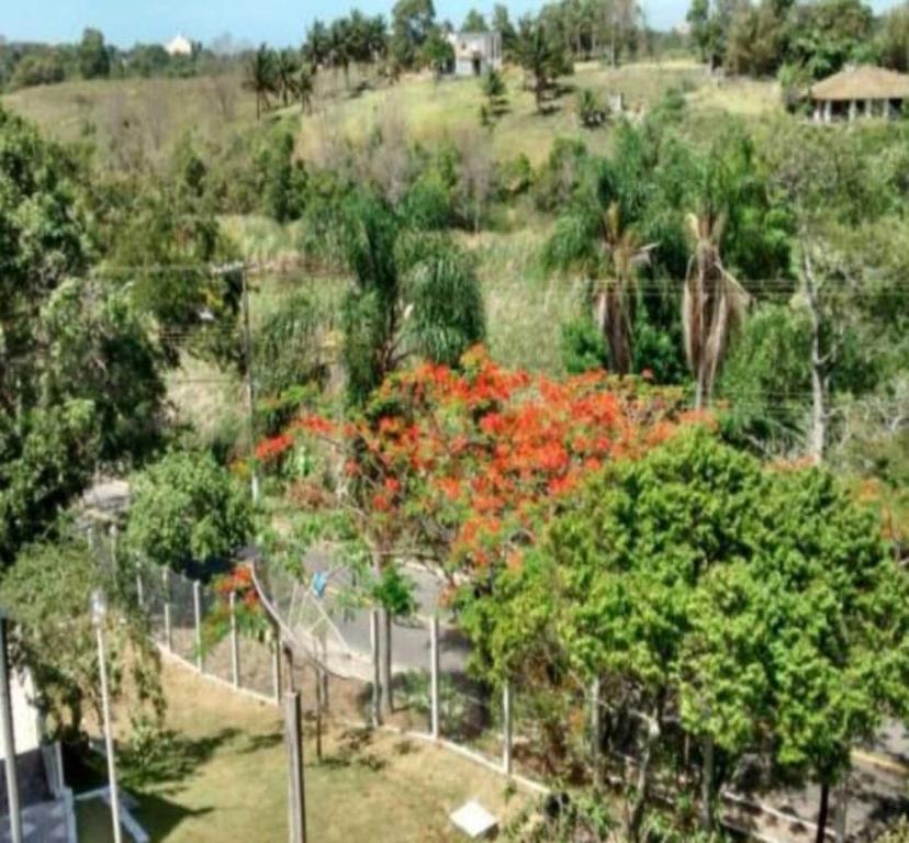  Village dos Pássaros Apartamento