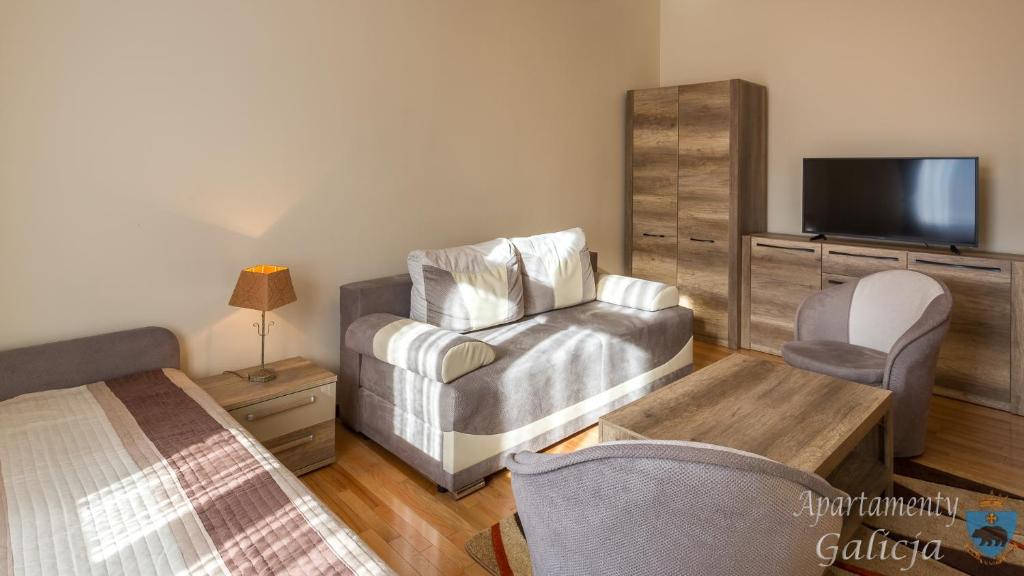 TV a/nebo společenská místnost v ubytování Apartamenty Galicja