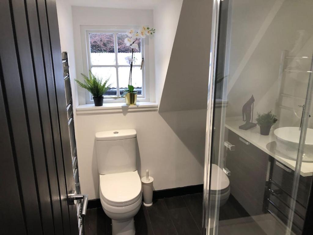 Boutique Loft Apartment 8