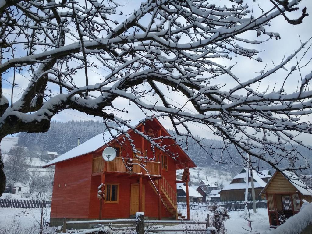 ボロフタにあるНезабутні Карпатиの木の枝雪の赤納屋