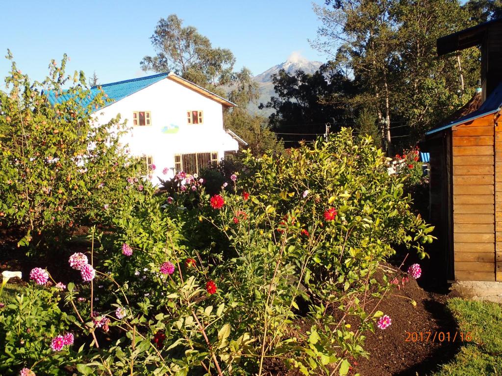 Hosteria Rose Cottage - Classic Quadruple Room