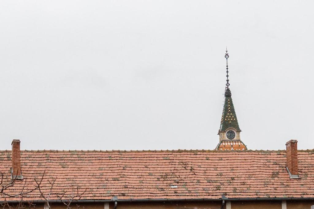 Fotografie z fotogalerie ubytování Pensiunea Select Central v destinaci Târgu-Mureş