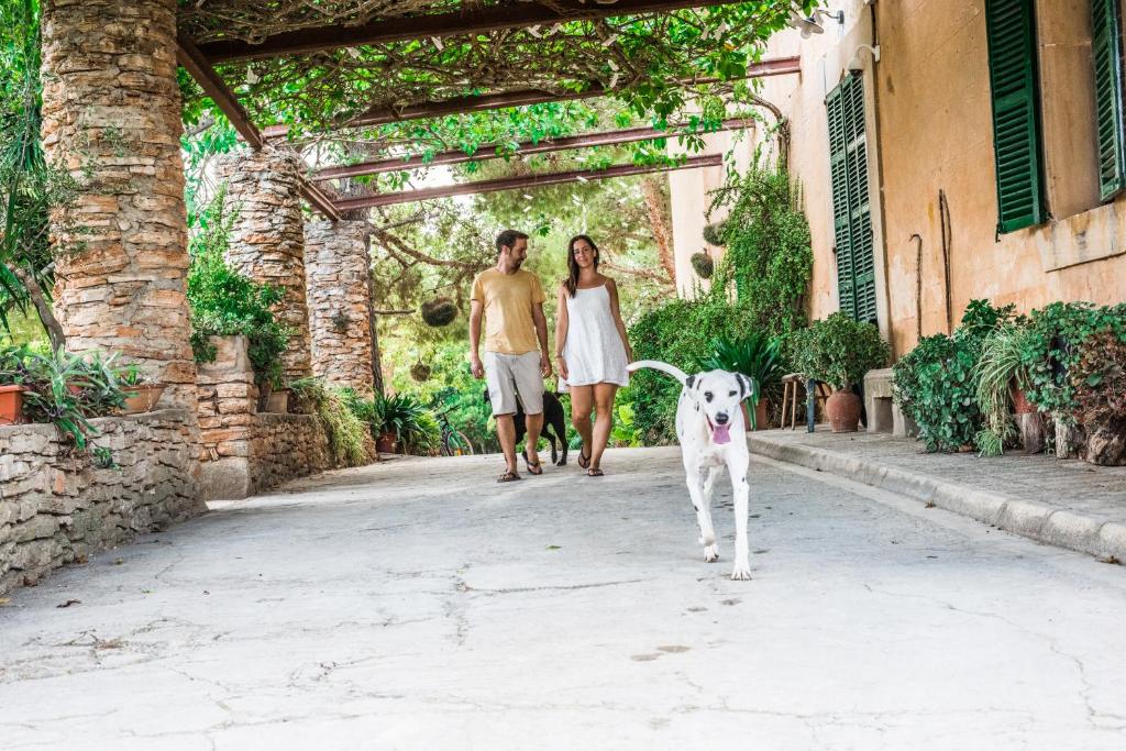 Fotografie z fotogalerie ubytování Finca Rural Son Amer v destinaci Manacor